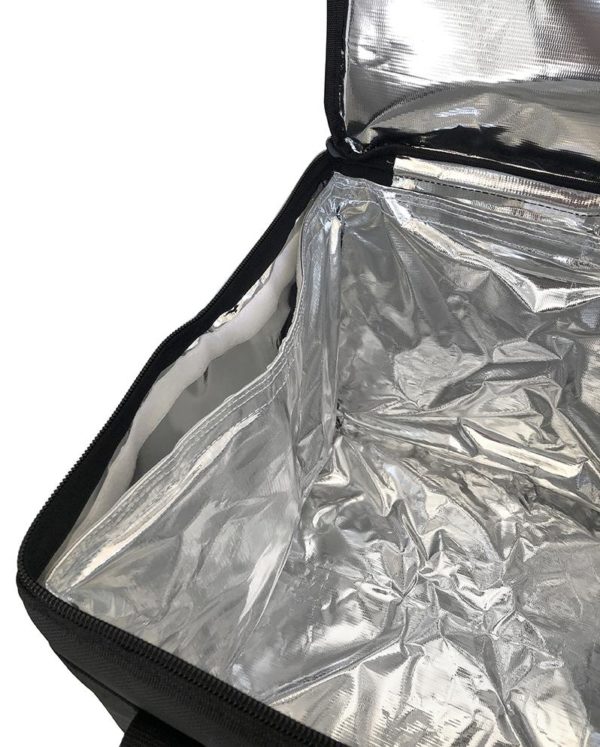 LrgDeliveryBag4